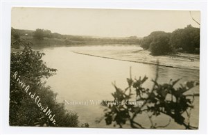 Image description is not available for PHO-264-620